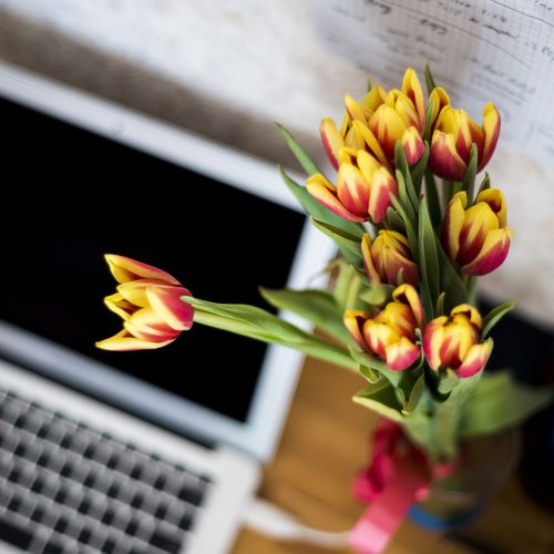 Arbeitsplatz mit Laptop und Blumenvase von oben fotografiert